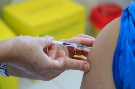 Вкупно се аплицирани 1.569.243 дози вакцини, а ревакцинирани 46% од полнолетните граѓани