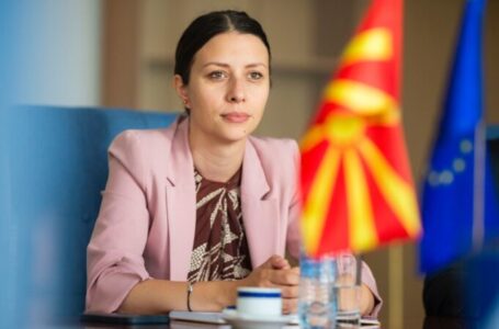Македонката од Европскиот парламент, Јовева: Европскиот парламент дава целосна поддршка за почеток на преговорите