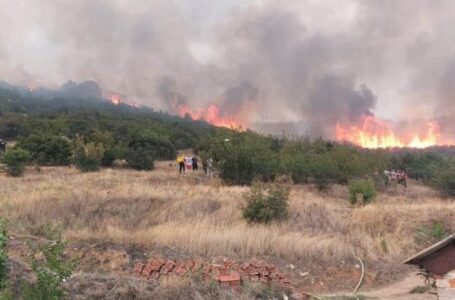 Пожарот кој се закануваше на куќите во село Ѓавато, ставен под контрола