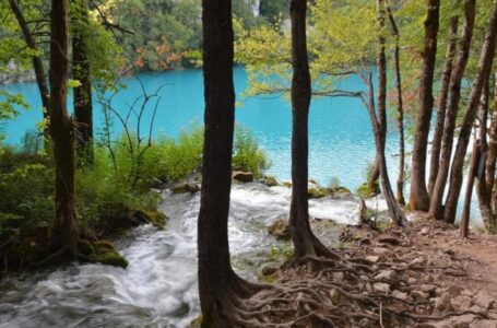 НЕВЕРОЈАТНА УБАВИНА: „Трипeдвајзер“ ги смести Плитвичките Езера во топ-атракции