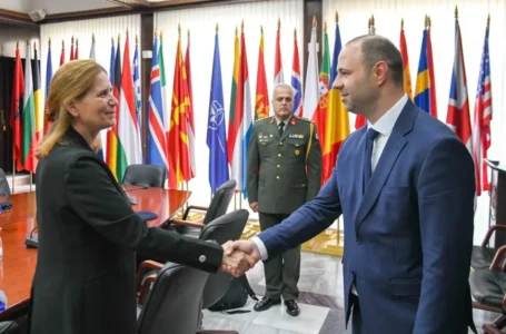 Средба на министерот Владо Мисајловски со амбасадорката на Грција, Софија Филипиду