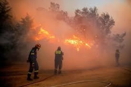 Жена загина во пожарите во Атина, илјадници жители се евакуирани