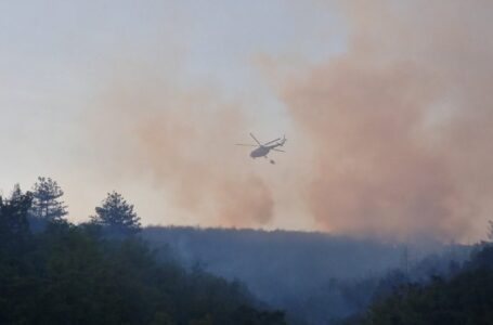 13 пожари изгаснати во Македонија