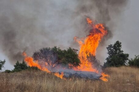 Кривични пријави против осум лица за предизвикување пожари