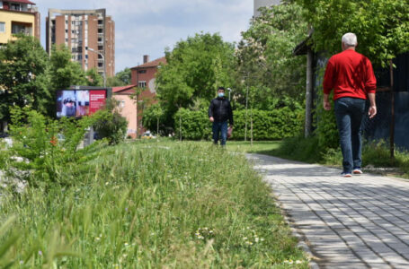 Сe почести пријави за појава на змии во Скопје