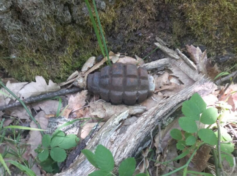 Пронајдени артилериска граната од 75 mm и рачна бомба од Првата светска војна
