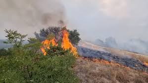 Пет активни пожари во Македонија