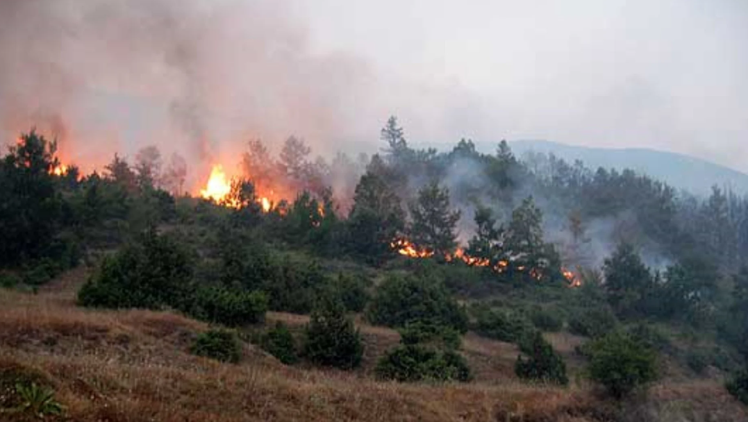 Четири активни пожари во Македонија