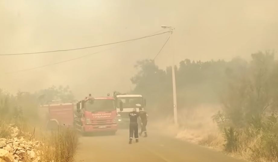 Борбата со пожарите во Црна Гора продолжува, критично во близина на Подгорица