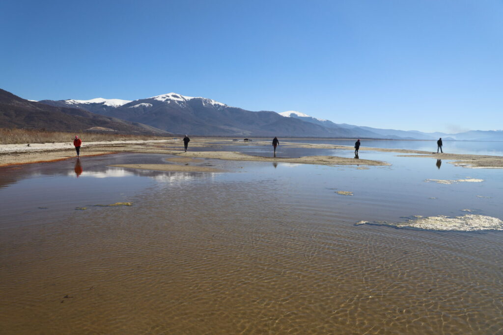 Првите подводни археолошки истражувања во Преспанското Езеро открија редок органски материјал