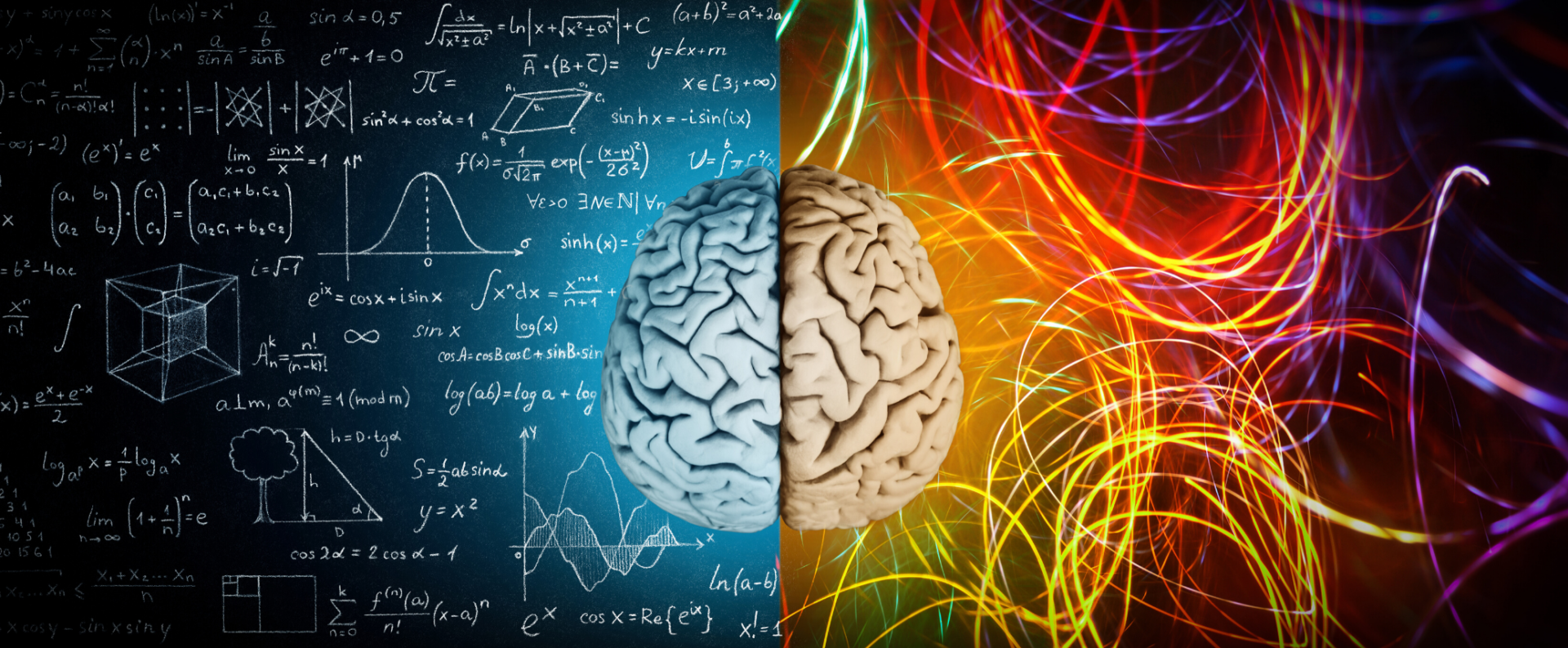 25 фасцинантни факти за мозокот, психологијата и умот што ќе ве изненадат