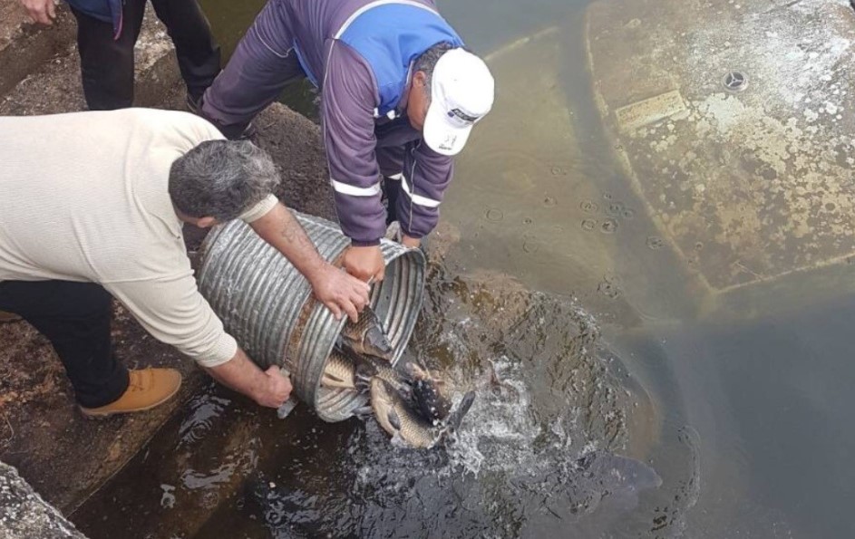 Приведени четири државјани на Албанија поради незаконит риболов во Преспанското Езеро